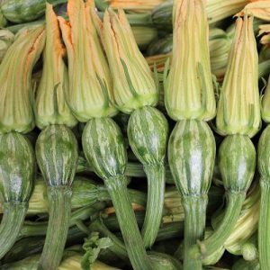 Gói 1g hạt giống Bí Siêu Nụ