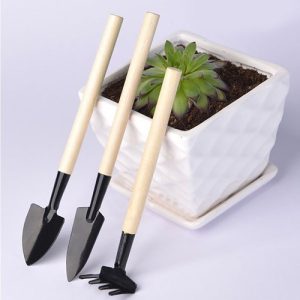 Bộ 3 dụng cụ làm vườn tiện dụng size mini có tay cầm bằng gỗ