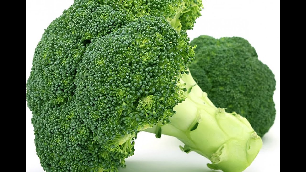 Gói 500mg hạt giống cải bông xanh F1