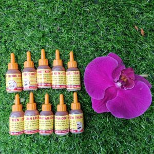 Thuốc diệt kiến, diệt gián sinh học hiệu quả, an toàn cho người và vật nuôi - 1 chai