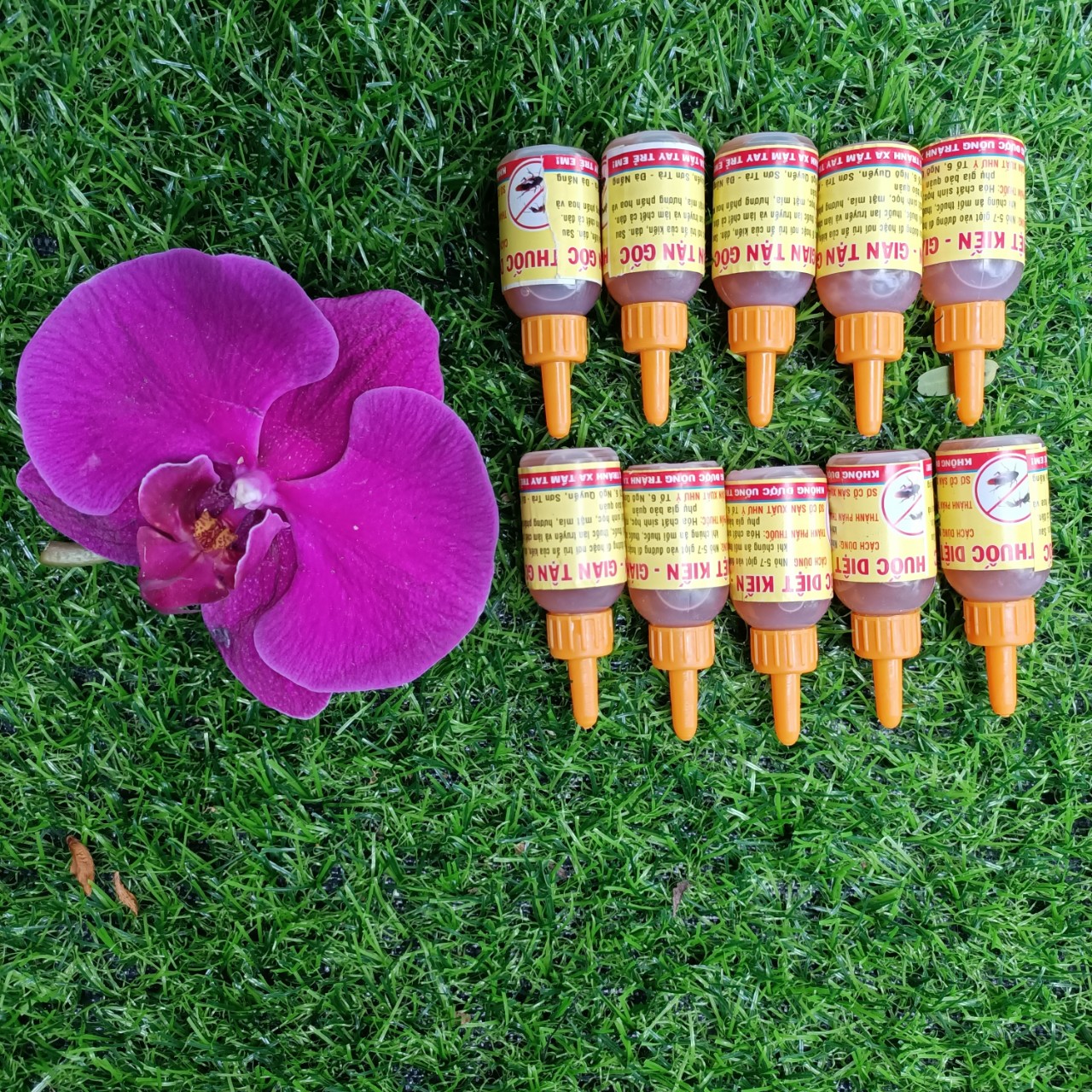 Thuốc diệt kiến, diệt gián sinh học hiệu quả, an toàn cho người và vật nuôi - 1 chai