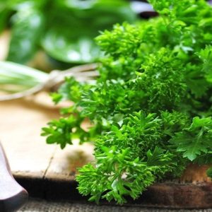 Gói 1GR hạt giống Ngò Tây (Rau mùi xoăn)