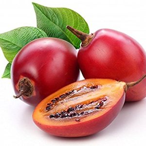 Gói 10  hạt giống Cà Chua Thân Gỗ Tamarillo Đỏ