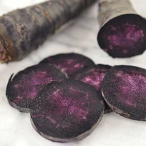 Gói 150  hạt giống  Cà Rốt Đen Black Giàu Anthocyanin