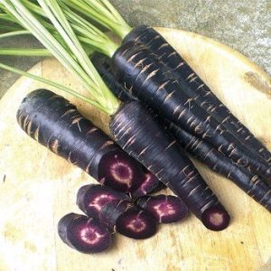 Gói 150  hạt giống  Cà Rốt Đen Black Giàu Anthocyanin