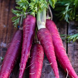 Gói 150 hạt giống Cà Rốt Tím Purple Giàu Anthocyanin