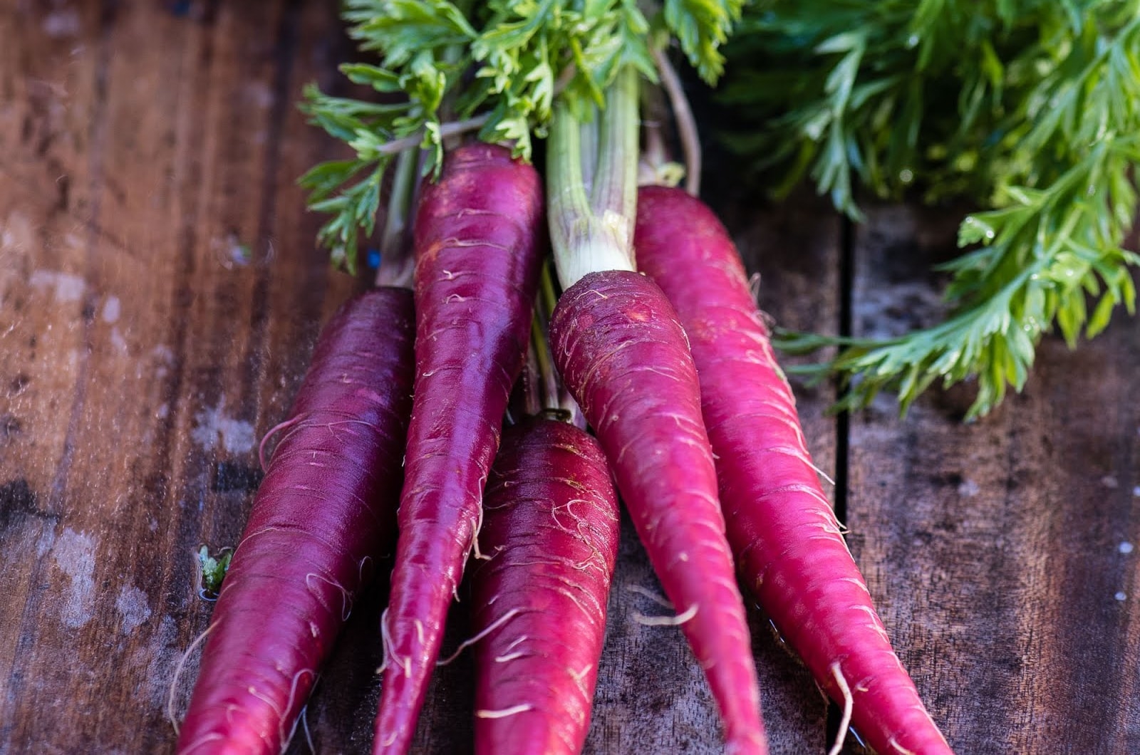 ca-rot-tim Gói 150 hạt giống Cà Rốt Tím Purple Giàu Anthocyanin