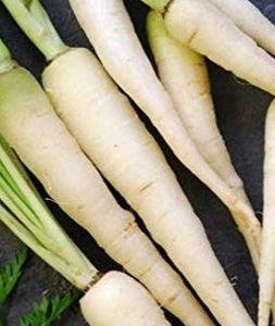 Gói 50  hạt giống Cà Rốt Xanh Trắng Lunar