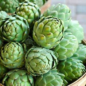 Gói 1GR hạt giống Atiso Đà Lạt - Bông Xanh