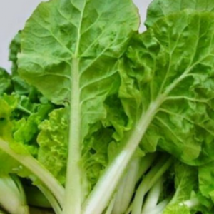 Gói 10g hạt giống cải bẹ dún