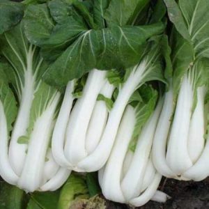 Gói 10g hạt giống cải bẹ trắng
