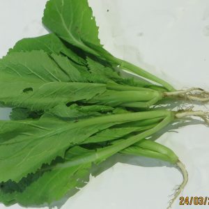 Gói 100g Hạt Giống Cải Bẹ Xanh Mỡ - Nanuseeds