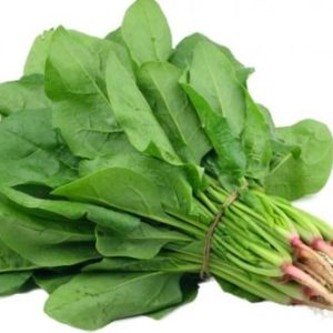 Gói 20g cải bó xôi Popeye Ấn Độ - giống siêu chịu nhiệt, có thể chịu nóng lên tới 50 độ C