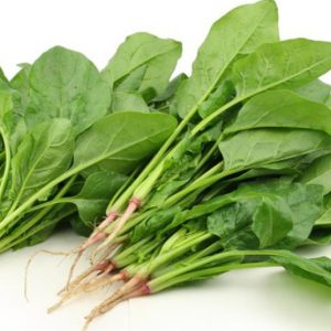 Gói 20g cải bó xôi Popeye Ấn Độ - giống siêu chịu nhiệt, có thể chịu nóng lên tới 50 độ C