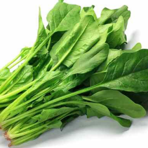 Gói 20g cải bó xôi Popeye Ấn Độ - giống siêu chịu nhiệt, có thể chịu nóng lên tới 50 độ C