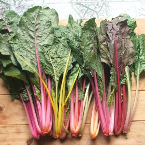 Gói 10g hạt giống cải cầu vồng