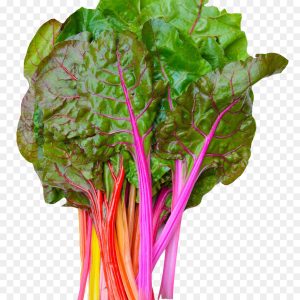 Gói 10g hạt giống cải cầu vồng