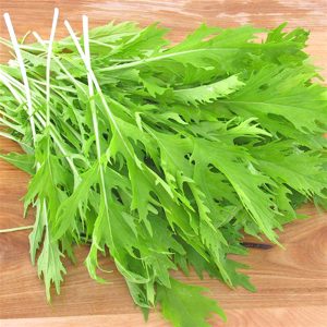 Gói 20g hạt giống cải xanh ngọt đuôi phụng