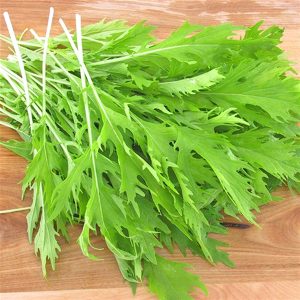 Gói 20g hạt giống cải xanh ngọt đuôi phụng