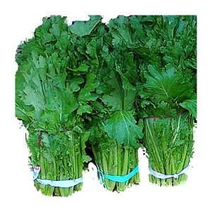 Gói 10g hạt giống Cải Mèo