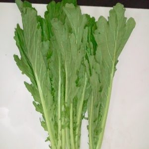 Gói 10g hạt giống Cải Mèo