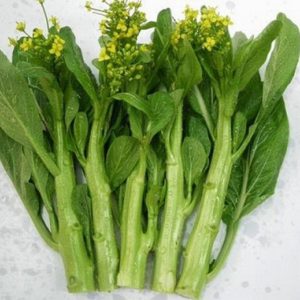 Gói 20g hạt giống cải ngồng Nanuseeds