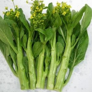 Gói 100g hạt giống cải ngồng Nanuseeds