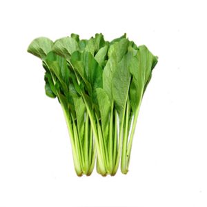 Gói 100g hạt giống cải ngọt cao sản - Nanuseeds