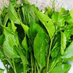 Gói 100  hạt giống Cải Trời