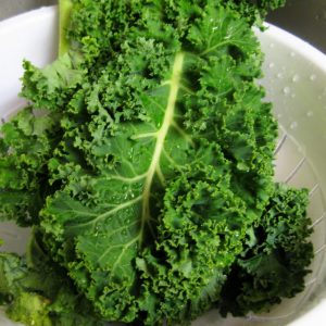 Gói 5g hạt giống cải xoăn xanh Kale