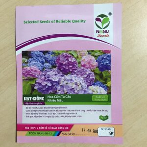 Gói 5 hạt giống hoa cẩm tú cầu nhiều màu