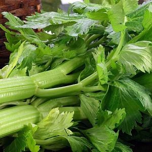 Gói 5g hạt giống cần xanh Đan Mạch