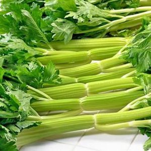 Gói 5g hạt giống cần xanh Đan Mạch