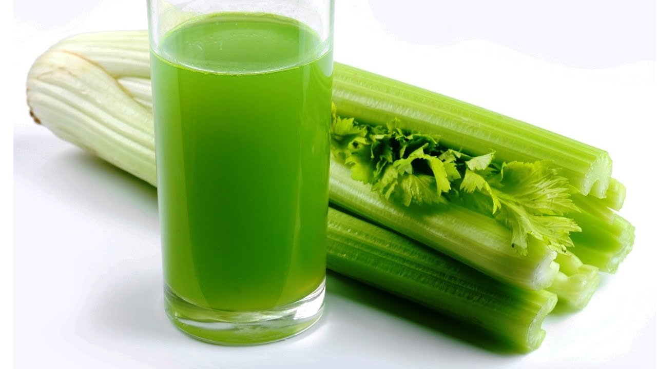 Gói 5g hạt giống cần xanh Đan Mạch