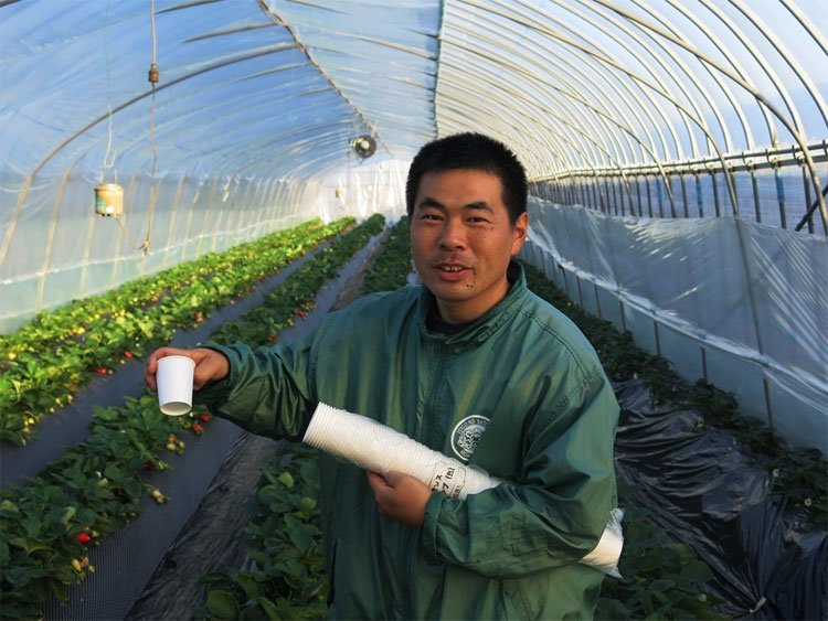 canh-tac-dau-tay-5-7