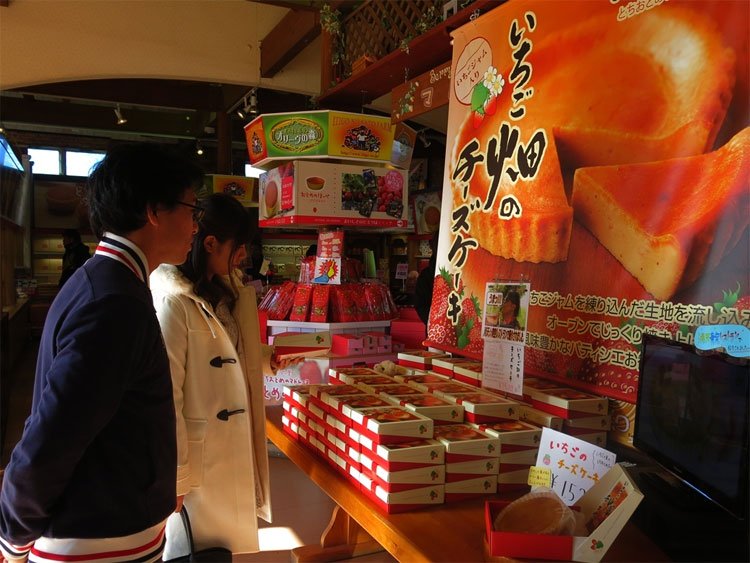 canh-tac-dau-tay-6-8