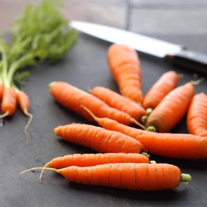 Gói 5g hạt giống cà rốt New Kuroda