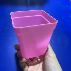 Chậu trồng sen đá bonsai xương rồng 6,3x6,3cm_hồng