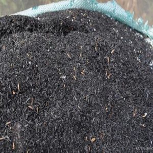 Tro trấu  (túi 2dm3) - CayGiongTot