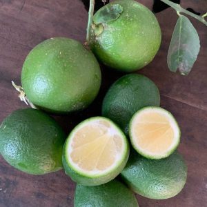 Cây giống chanh không hạt tứ quý bông tím trái chùm