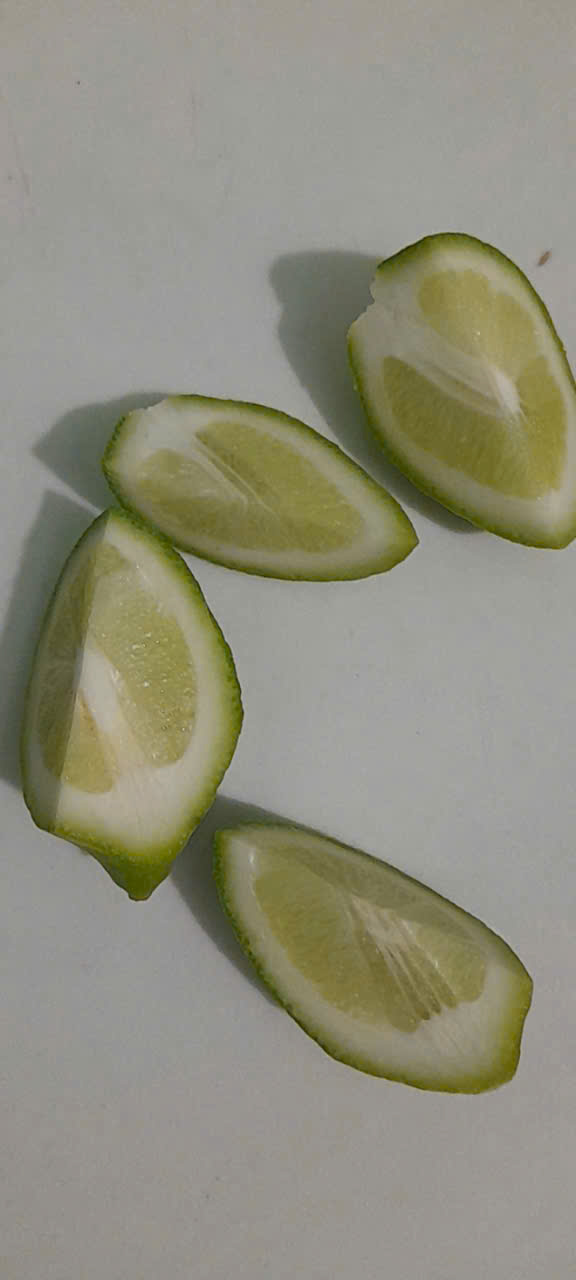 Chậu Chanh Vàng Eureka gốc chiết đang trái - Chanh Úc, Chanh Vàng Mỹ, Chanh Nước Hoa, Chanh Quảng Đông, Chanh Tây