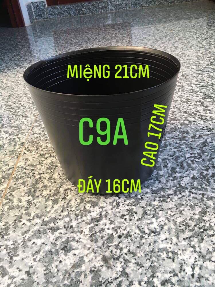 Combo 50 chậu nhựa đen size C9A KT: 21x16x17cm mềm dẻo bền đẹp