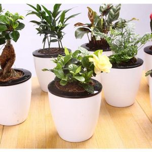 Chậu trồng cây thông minh tự tưới nước - đường kính 13cm - màu trắng đen