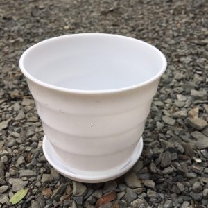 Chậu nhựa trắng kèm dĩa có đế 6cm