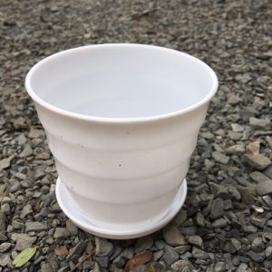 Chậu nhựa trắng kèm dĩa có đế 6cm