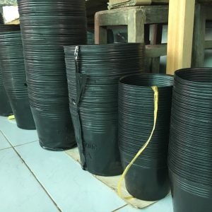 Combo 10 chậu nhựa đen size C10 KT: 25x19.5x20cm mềm dẻo bền đẹp