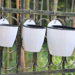 Chậu nhựa thông minh tự tưới nước dùng trồng cây treo tường 18cm