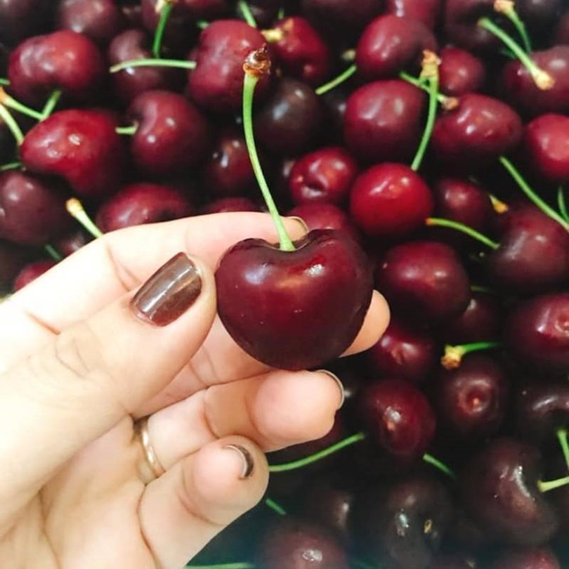 cherry-anh-dao-3-1