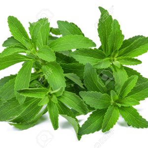 Gói 5  hạt giống Cỏ Ngọt Stevia