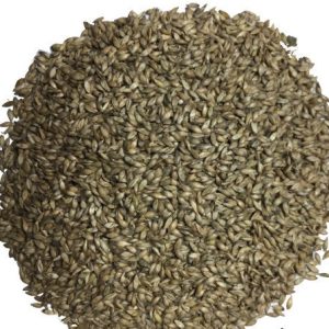 Hạt giống cỏ RUZI Cỏ sả, Chịu giẫm đạp -100gr